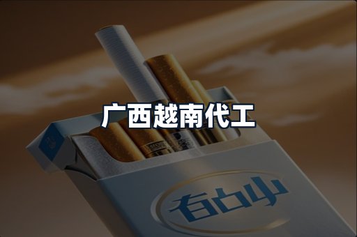 广西越南代工